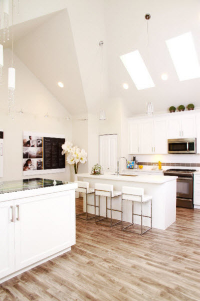 Kitchen in Niche townhouse development in South Surrey