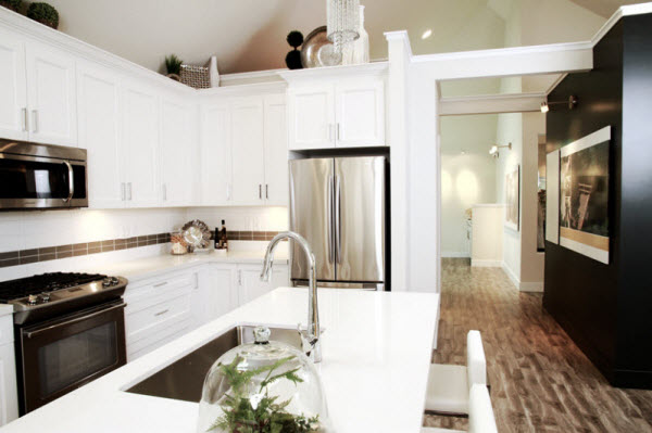 Kitchen in Niche townhouse development in South Surrey