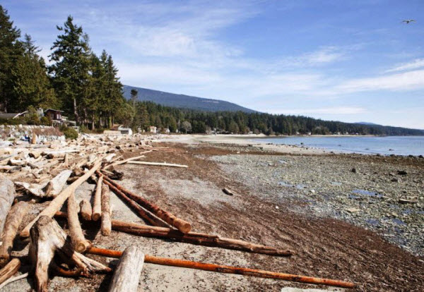 Beach next to Watermark at Sechelt